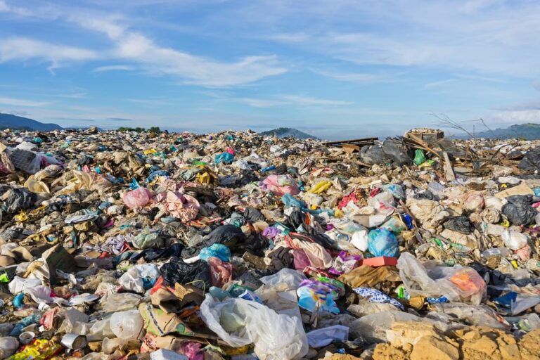 Basura en el vertedero