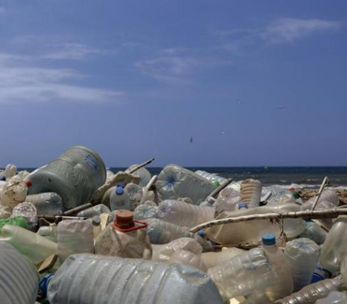 contaminación por plásticos