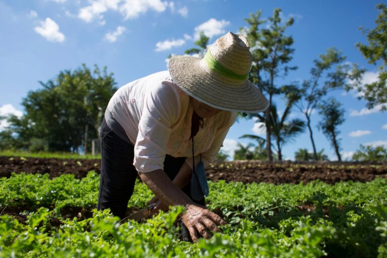 agroecología