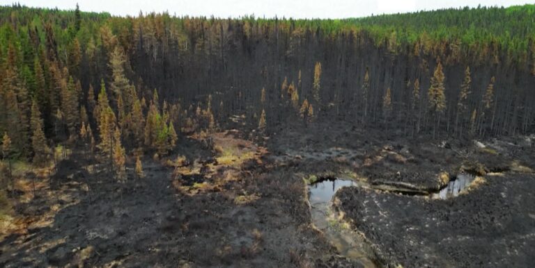 incendios en Canadá