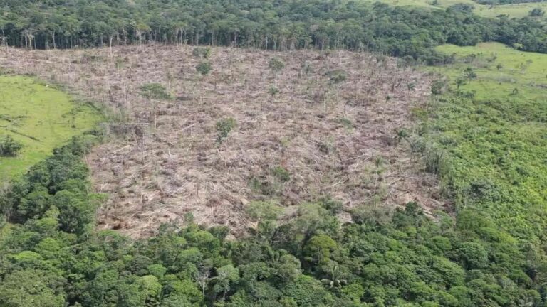 Lugares deforestados en Colombia