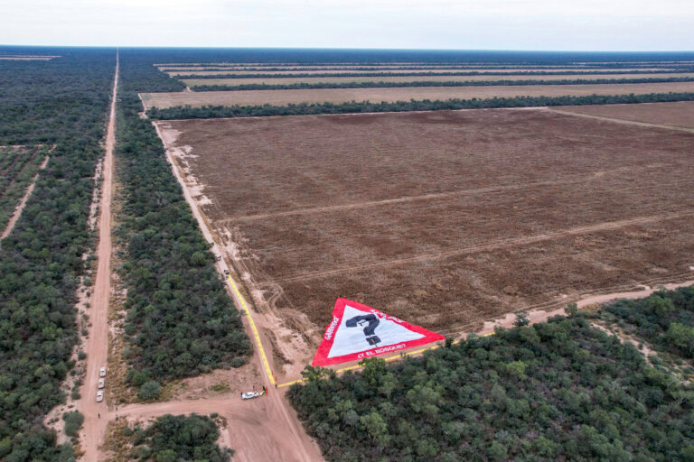 Desmonte en la finca de Juan José Karlen