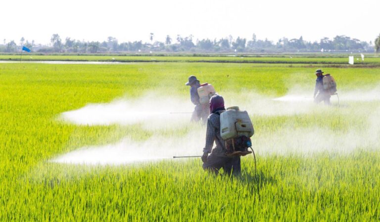 Personas fumigando con agrotóxicos