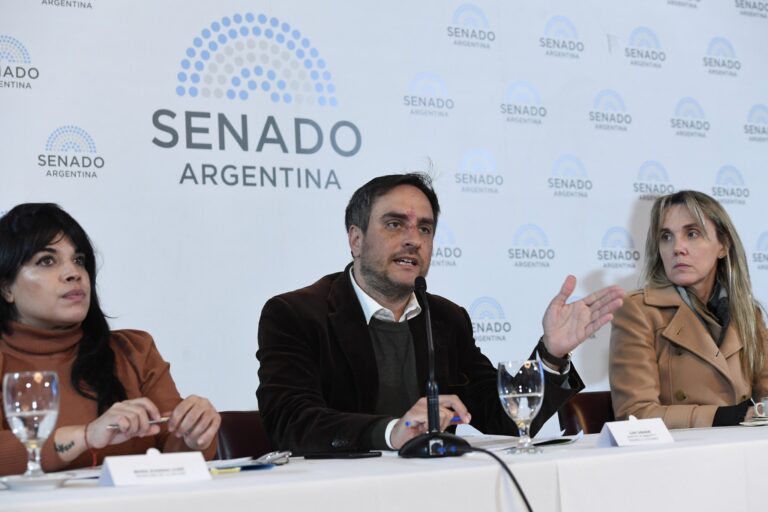 Juan Cabandié en el Senado