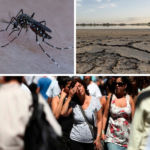 La salud argentina ya siente el cambio climático