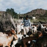 Mendoza avanza contra campesinos e indígenas