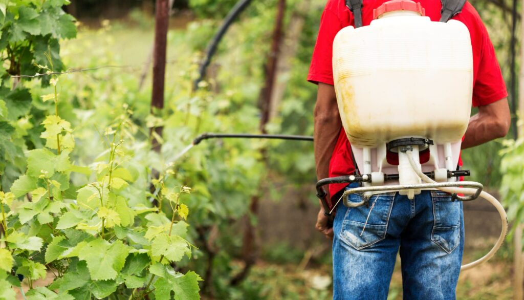 De vender pesticidas adulterados a hablar sobre producción agrícola sostenible