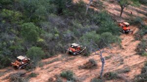 Quebracho Colorado