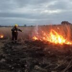 Inician las tareas de prevención de incendios forestales
