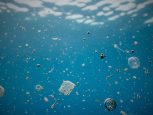 eliminar microplásticos del agua