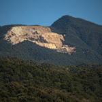 Palma Sola: Presentaron un amparo por riesgo ecológico