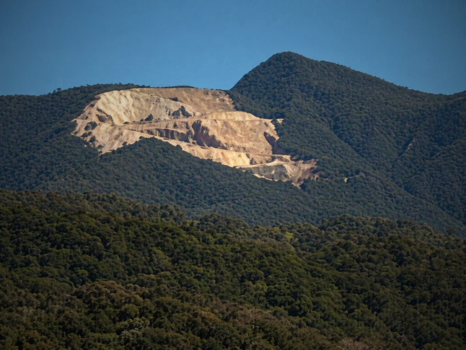 Palma Sola: Presentaron un amparo por riesgo ecológico
