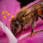 glifosato en la miel