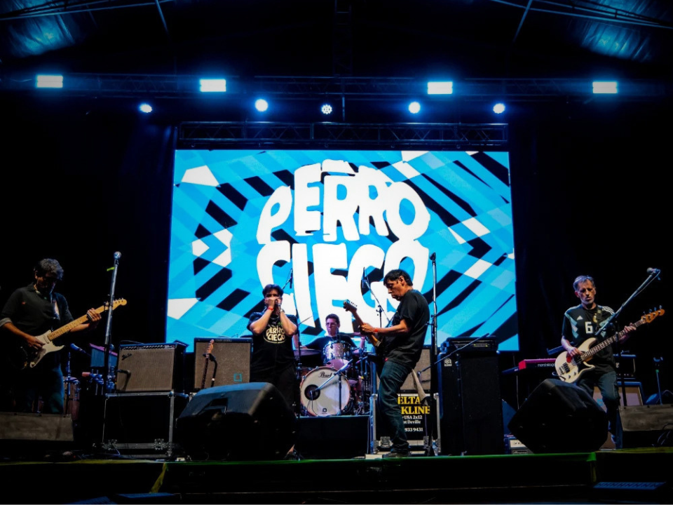 Perro Ciego