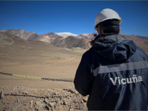Proyecto Vicuña