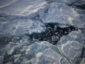 Hielo ártico
