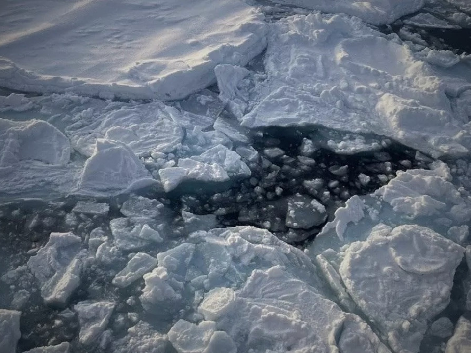Hielo ártico