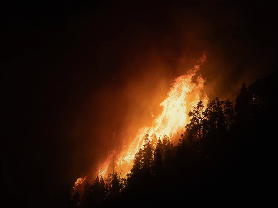 Incendios forestales